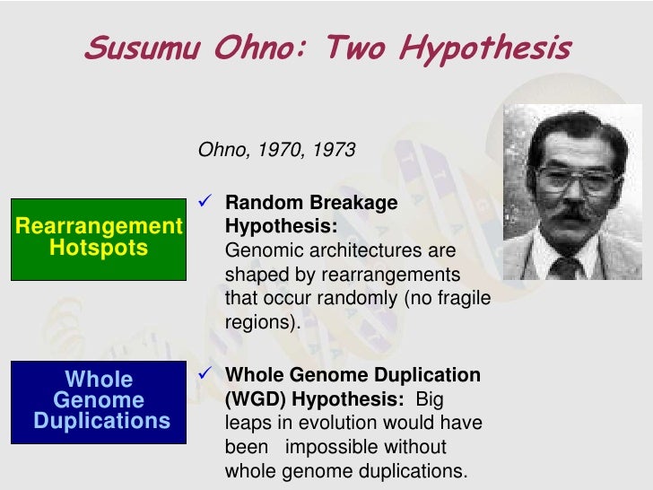 evolution by gene duplication susumu ohno